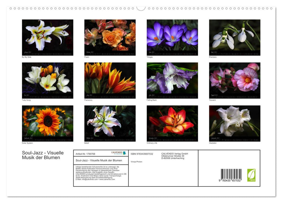 Soul-Jazz - Visuelle Musik der Blumen (CALVENDO Premium Wandkalender 2025)