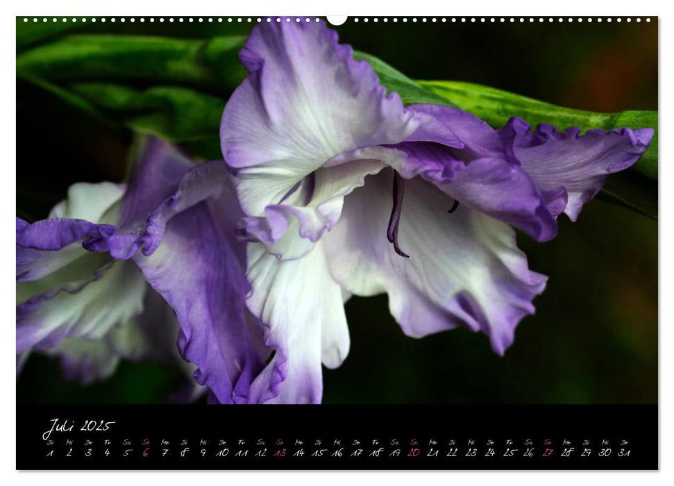Soul-Jazz - Visuelle Musik der Blumen (CALVENDO Premium Wandkalender 2025)
