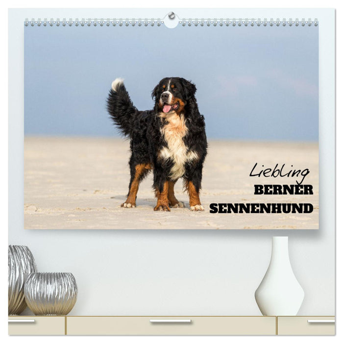 Liebling BERNER SENNENHUND (CALVENDO Premium Wandkalender 2025)