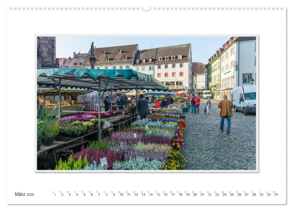 Emotionale Momente: Freiburger Münstermarkt (CALVENDO Premium Wandkalender 2025)
