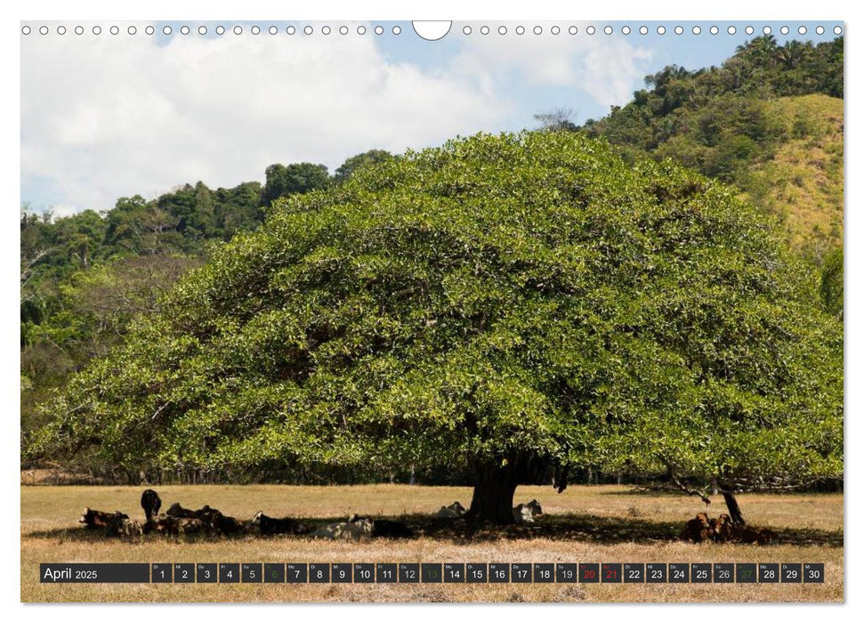 COSTA RICA - PURA VIDA (CALVENDO Wandkalender 2025)