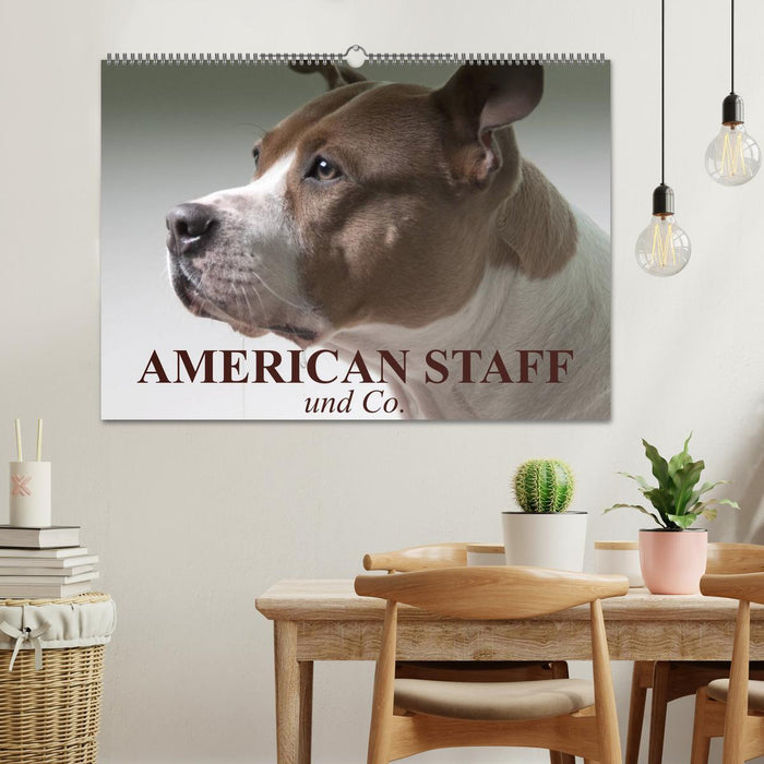 American Staff und Co. (CALVENDO Wandkalender 2025)