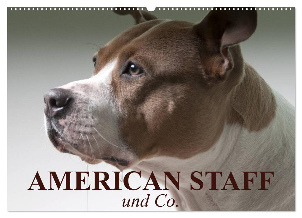 American Staff und Co. (CALVENDO Wandkalender 2025)