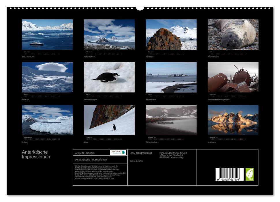 Antarktische Impressionen (CALVENDO Premium Wandkalender 2025)