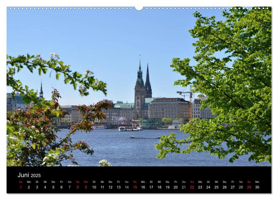 Zwölf Monate in Hamburg (CALVENDO Premium Wandkalender 2025)