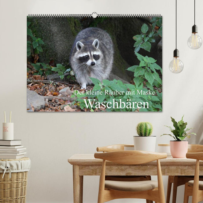 Der kleine Räuber mit Maske - Waschbären (CALVENDO Wandkalender 2025)