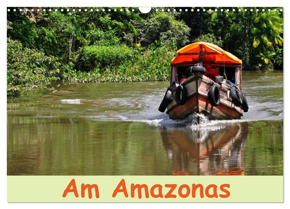 Am Amazonas (CALVENDO Wandkalender 2025)