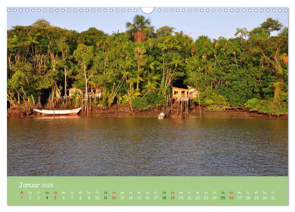 Am Amazonas (CALVENDO Wandkalender 2025)