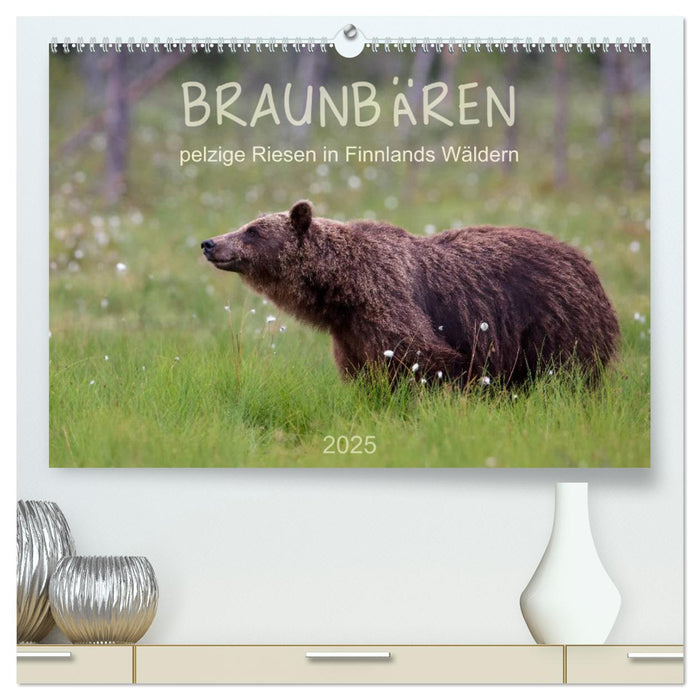 Braunbären - pelzige Riesen in Finnlands Wäldern (CALVENDO Premium Wandkalender 2025)