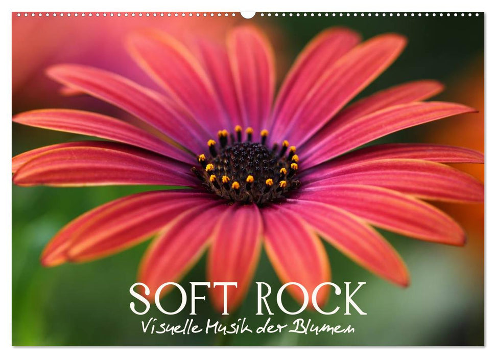 Soft Rock - Visuelle Musik der Blumen (CALVENDO Wandkalender 2025)