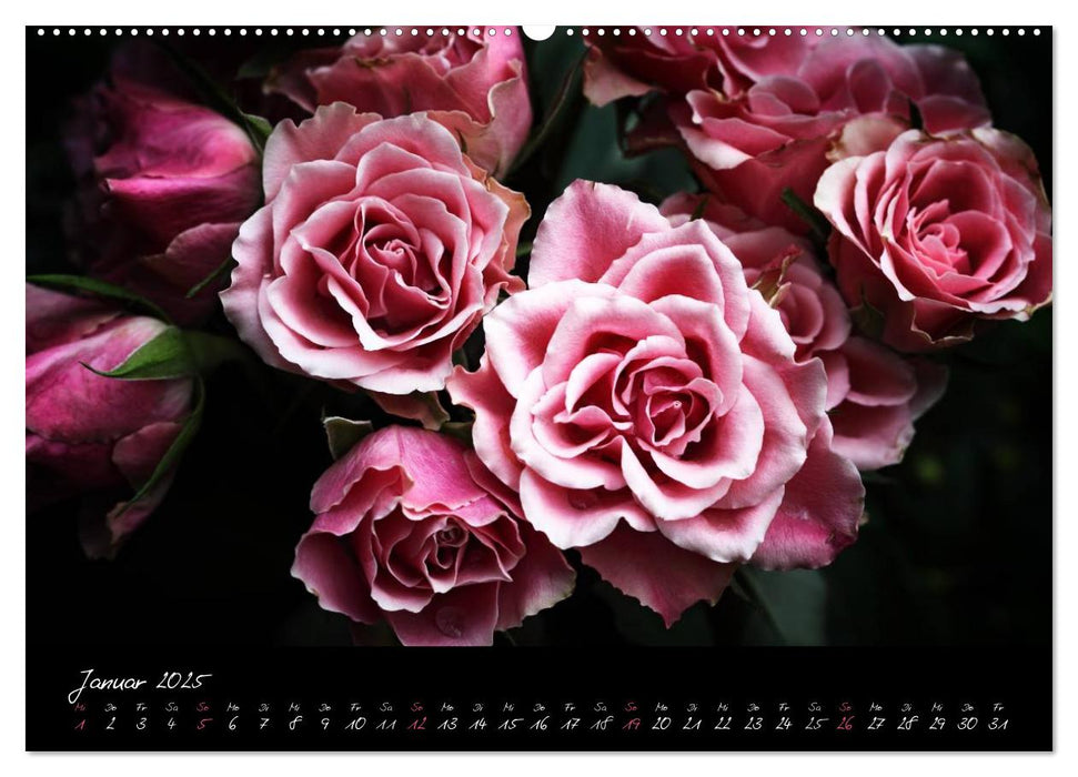 Florales Sonett - Visuelle Musik der Blumen (CALVENDO Wandkalender 2025)