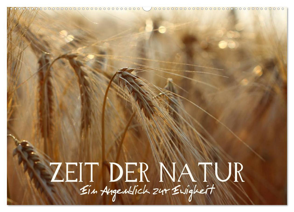 Zeit der Natur - Ein Augenblick zur Ewigkeit (CALVENDO Wandkalender 2025)