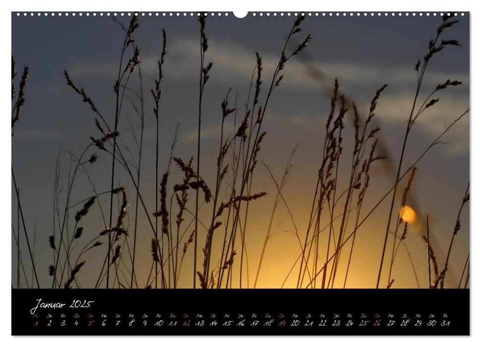 Zeit der Natur - Ein Augenblick zur Ewigkeit (CALVENDO Wandkalender 2025)
