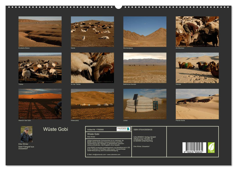 Wüste Gobi (CALVENDO Premium Wandkalender 2025)