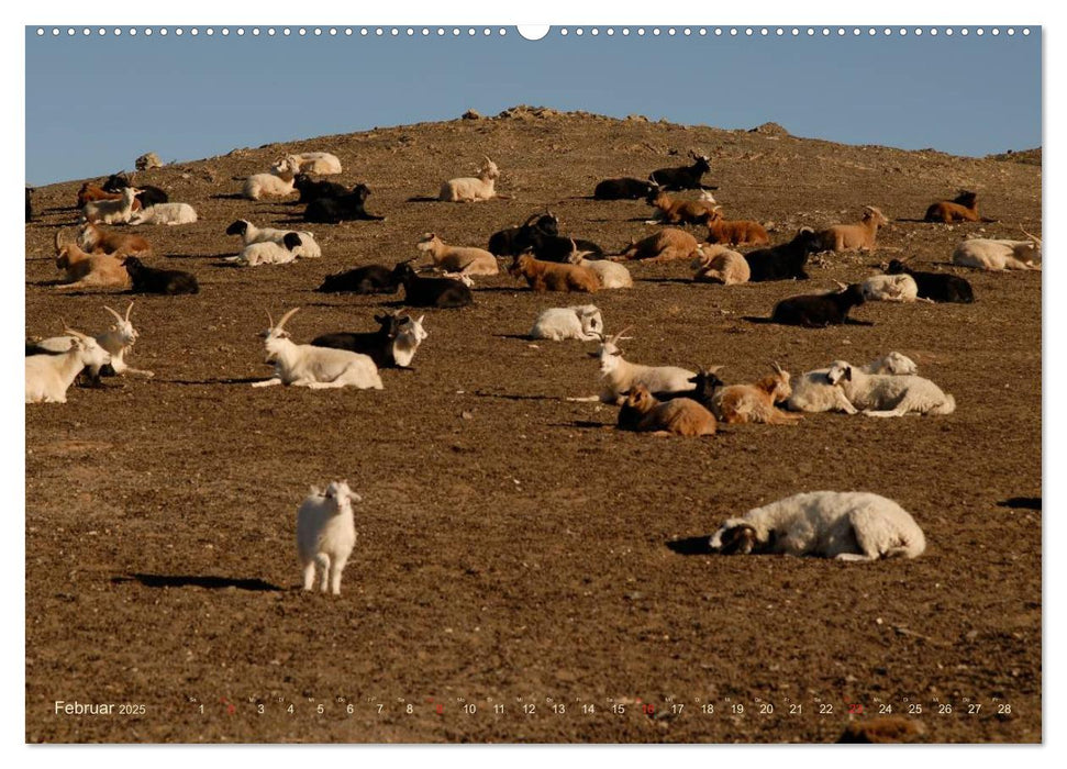 Wüste Gobi (CALVENDO Premium Wandkalender 2025)