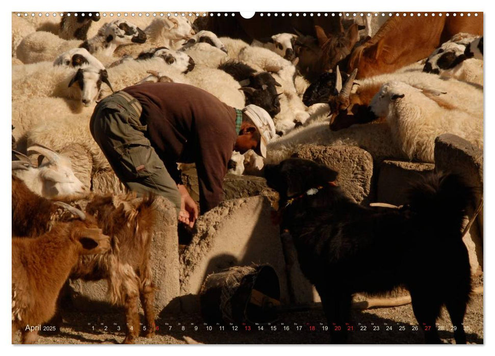 Wüste Gobi (CALVENDO Premium Wandkalender 2025)