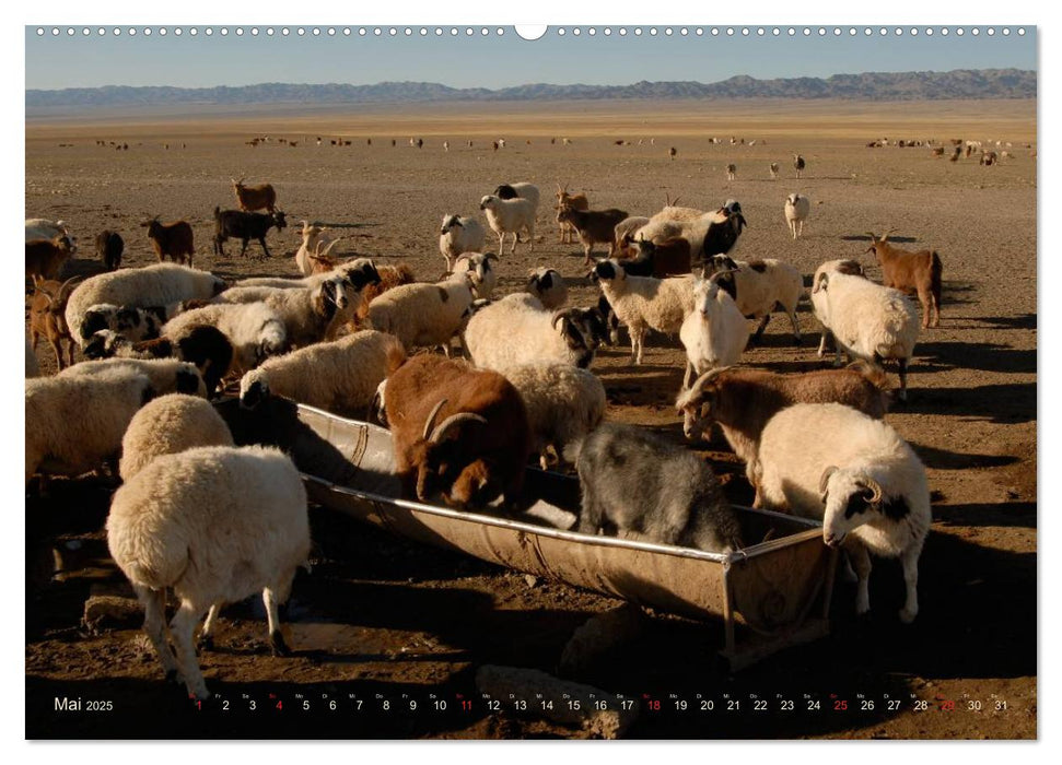 Wüste Gobi (CALVENDO Premium Wandkalender 2025)