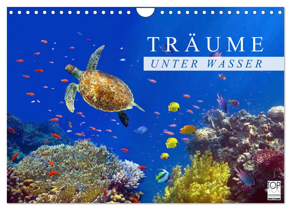 Träume unter Wasser (CALVENDO Wandkalender 2025)