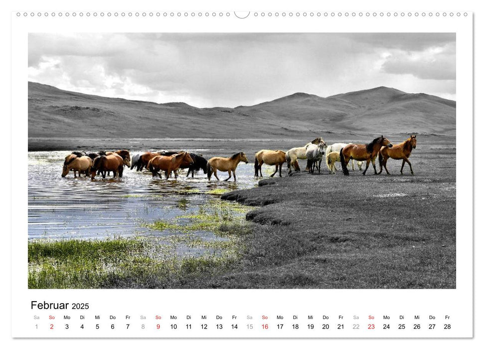 Mongolei – Mit anderen Augen (CALVENDO Premium Wandkalender 2025)