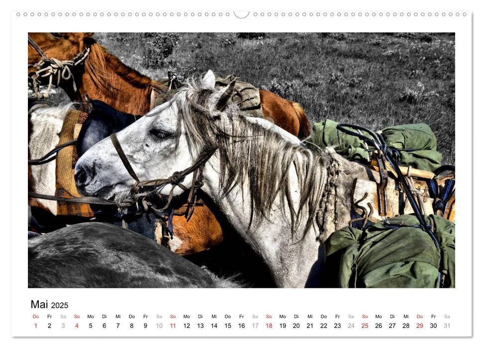 Mongolei – Mit anderen Augen (CALVENDO Premium Wandkalender 2025)