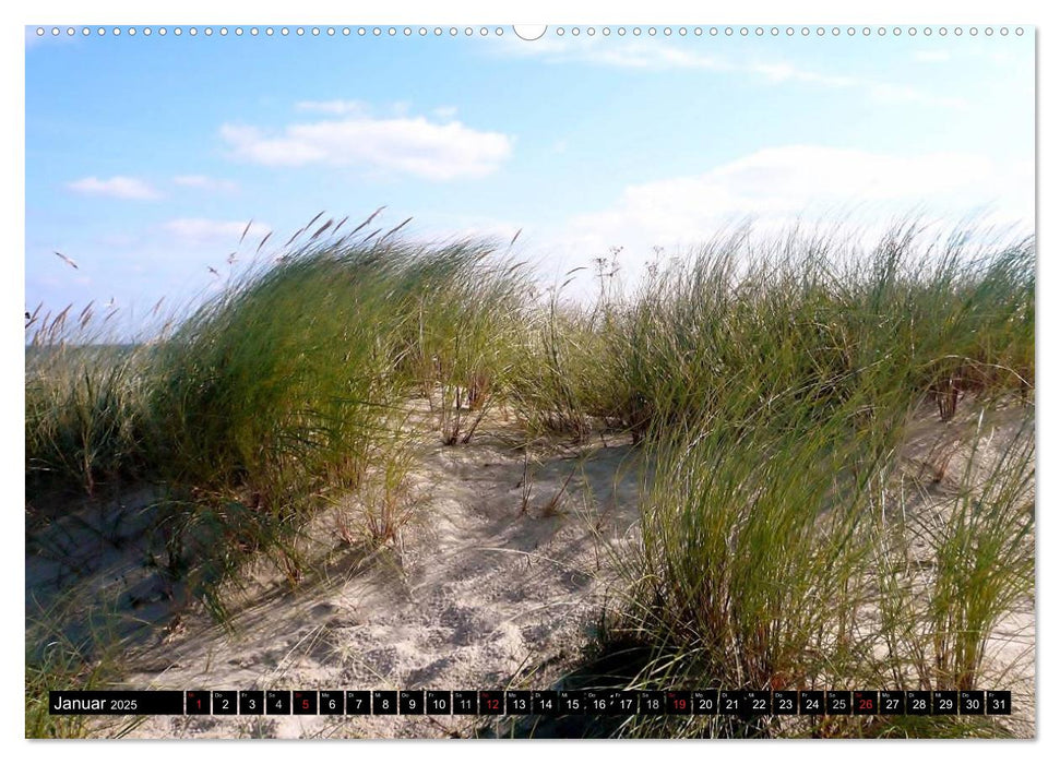 USEDOM - Seebäder und Naturparadies (CALVENDO Premium Wandkalender 2025)