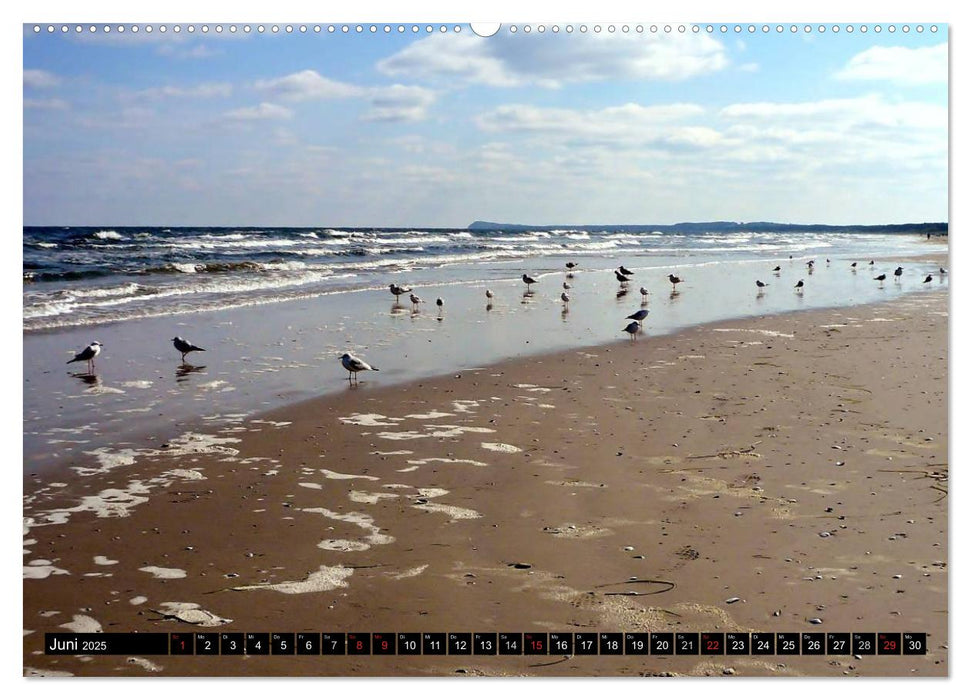 USEDOM - Seebäder und Naturparadies (CALVENDO Premium Wandkalender 2025)