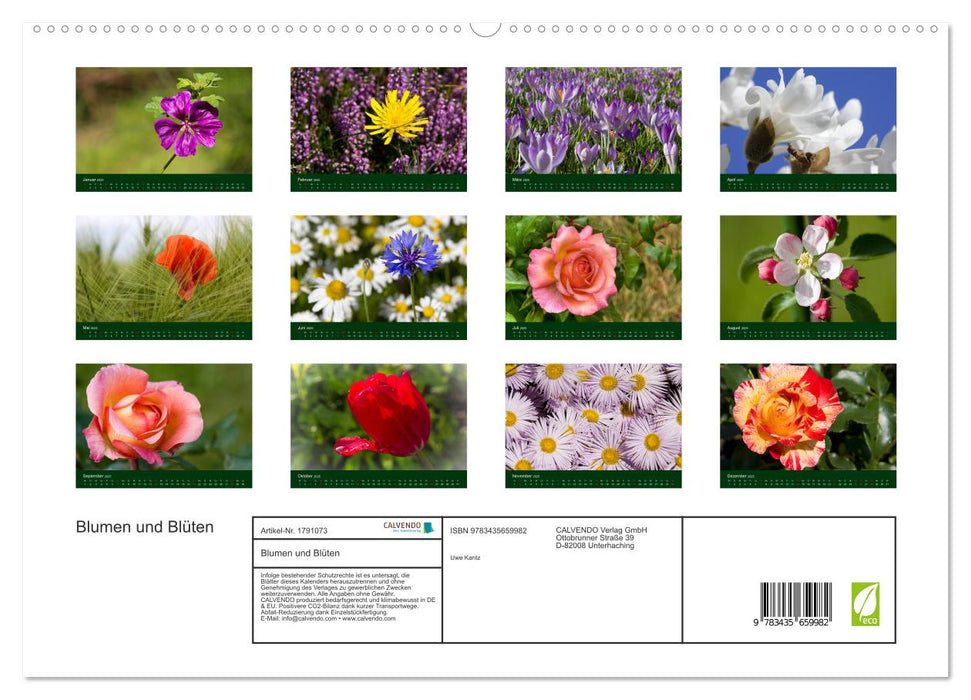 Blumen und Blüten (CALVENDO Premium Wandkalender 2025)