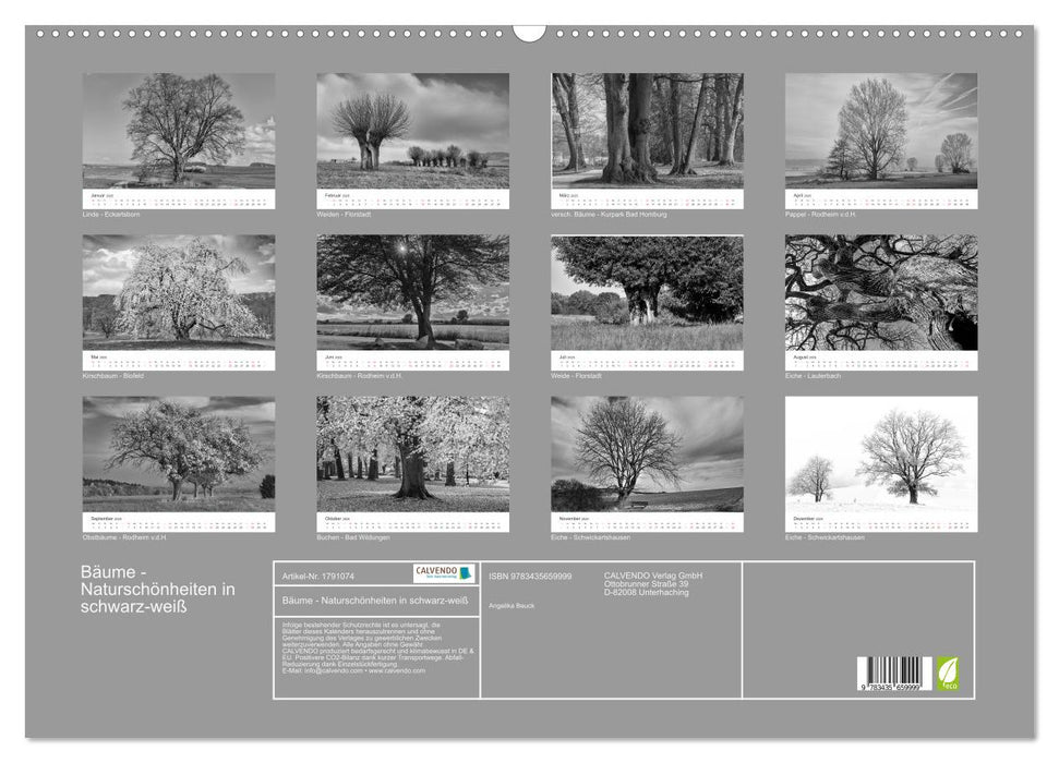 Bäume - Naturschönheiten in schwarz-weiß (CALVENDO Wandkalender 2025)