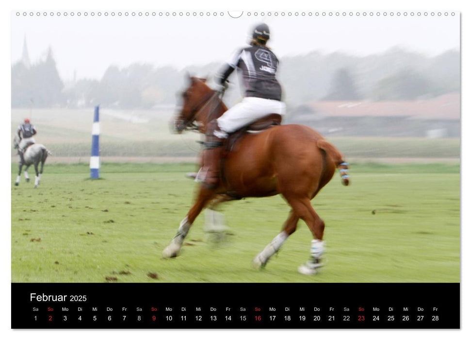 Polo Pferde + Aktion 2025 (CALVENDO Premium Wandkalender 2025)