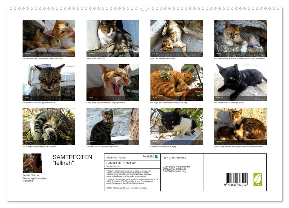 SAMTPFOTEN "fellnah" (CALVENDO Premium Wandkalender 2025)