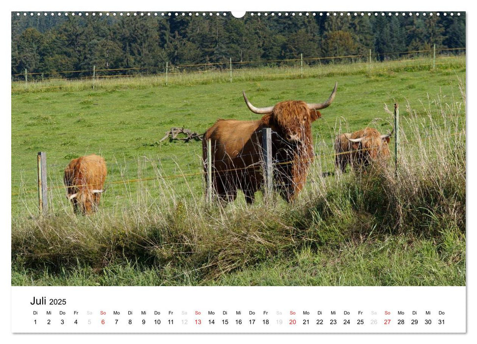 Bauernhoftiere (CALVENDO Premium Wandkalender 2025)