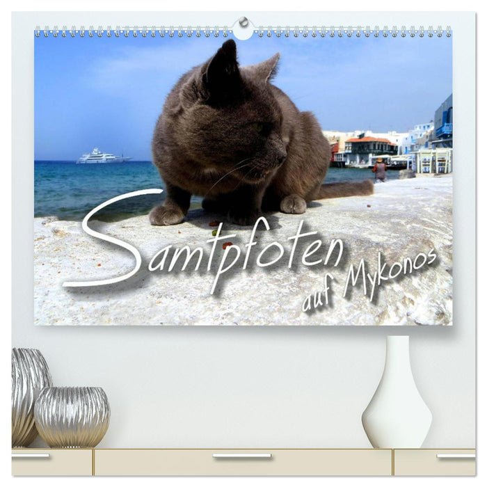 SAMTPFOTEN auf Mykonos (CALVENDO Premium Wandkalender 2025)
