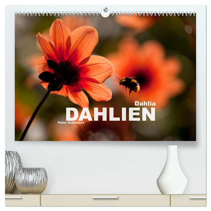 Dahlia - Dahlien (CALVENDO Premium Wandkalender 2025)