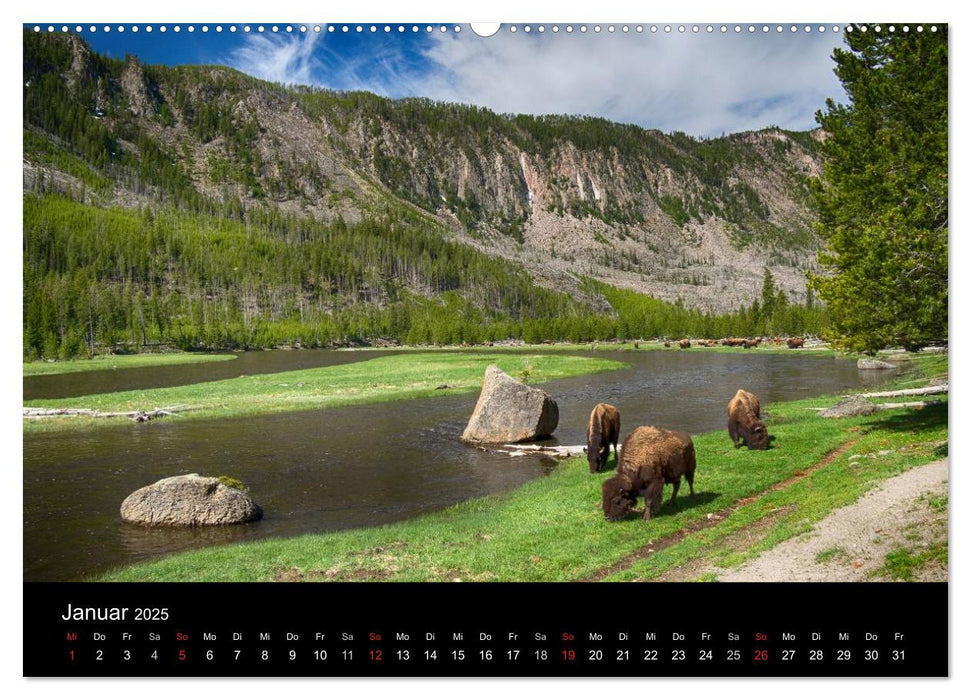 Traumziele in den USA. Der Yellowstone National Park (CALVENDO Premium Wandkalender 2025)