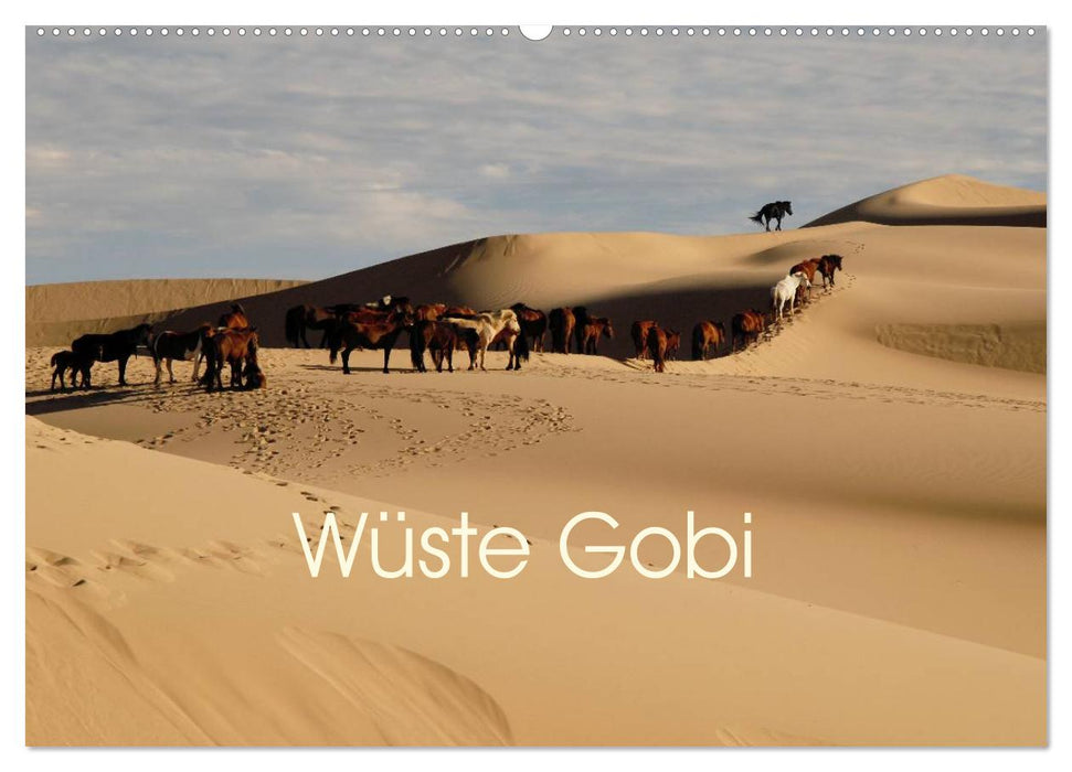 Wüste Gobi (CALVENDO Wandkalender 2025)