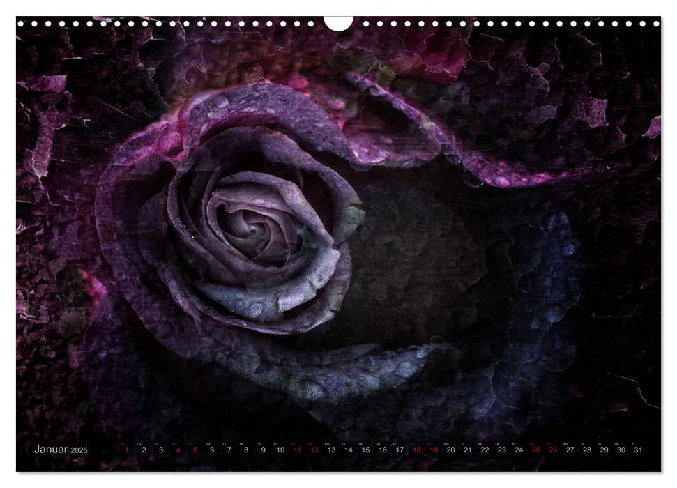 Gothic Rose - Rosen aus dem Garten der Finsternis (CALVENDO Wandkalender 2025)