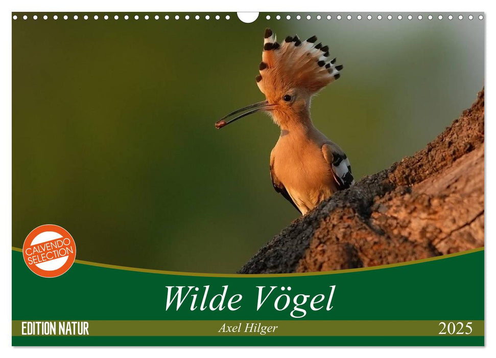 Wilde Vögel (CALVENDO Wandkalender 2025)