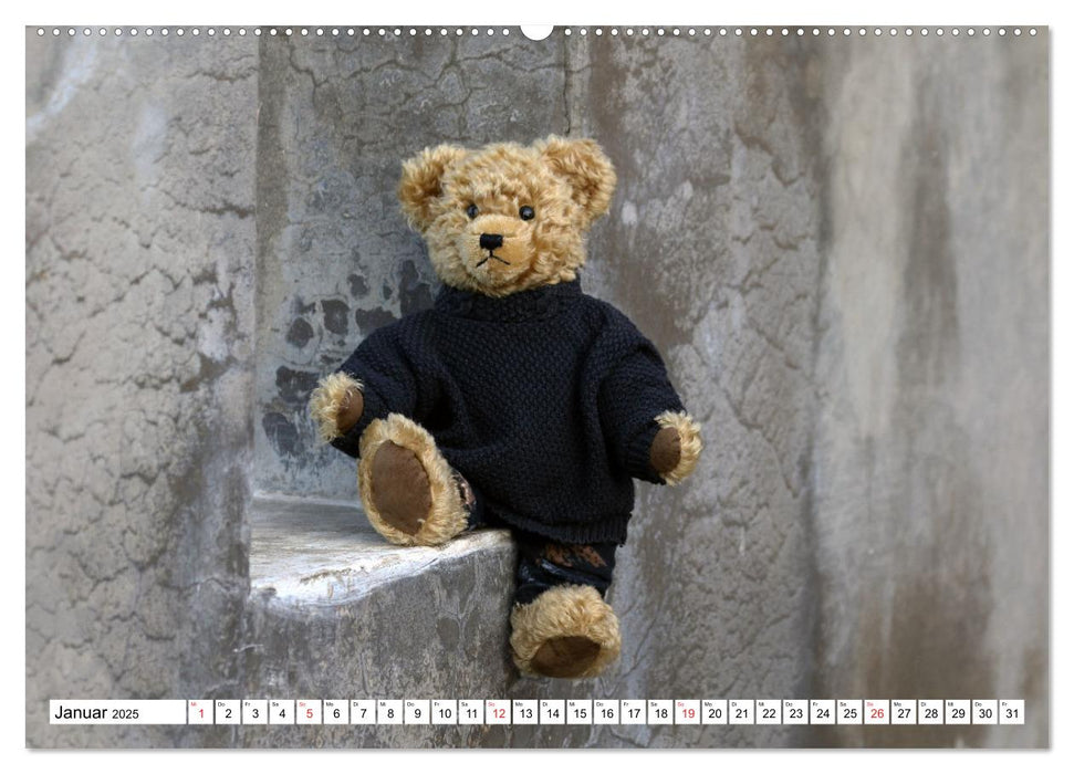 Teddy Sammys Abenteuer (CALVENDO Premium Wandkalender 2025)