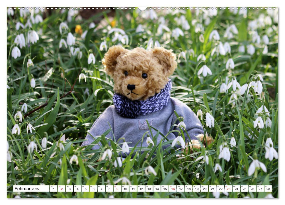 Teddy Sammys Abenteuer (CALVENDO Premium Wandkalender 2025)