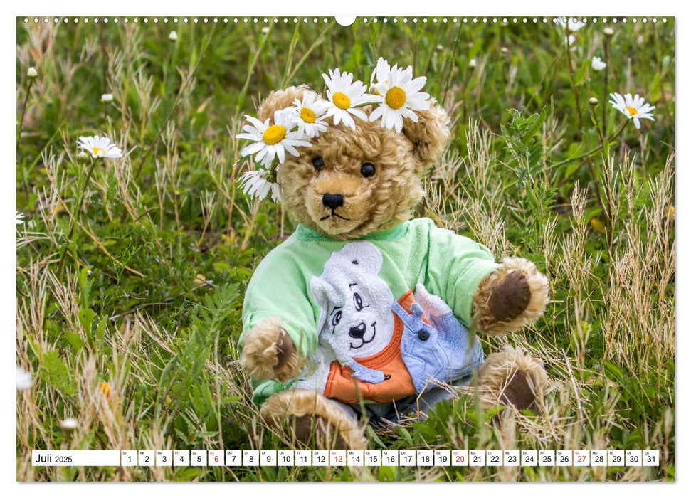 Teddy Sammys Abenteuer (CALVENDO Premium Wandkalender 2025)