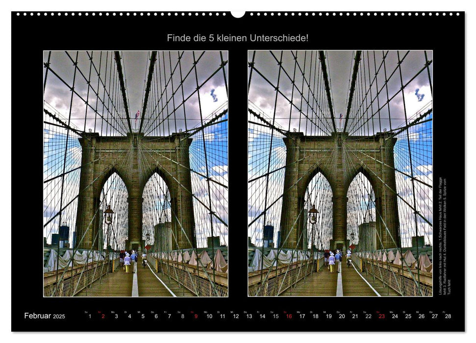 New York City Fehlersuche 2025 (CALVENDO Wandkalender 2025)