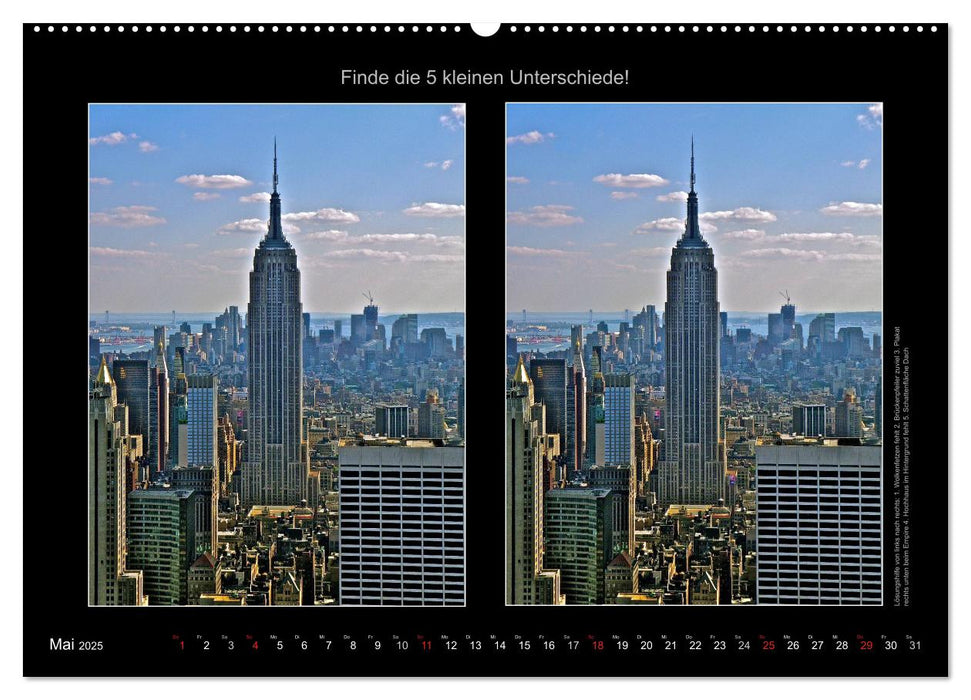 New York City Fehlersuche 2025 (CALVENDO Wandkalender 2025)