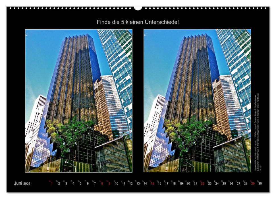 New York City Fehlersuche 2025 (CALVENDO Wandkalender 2025)