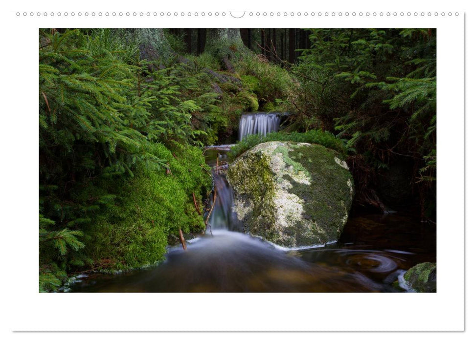 Wildromantische Wasserwelten im Harz (CALVENDO Premium Wandkalender 2025)