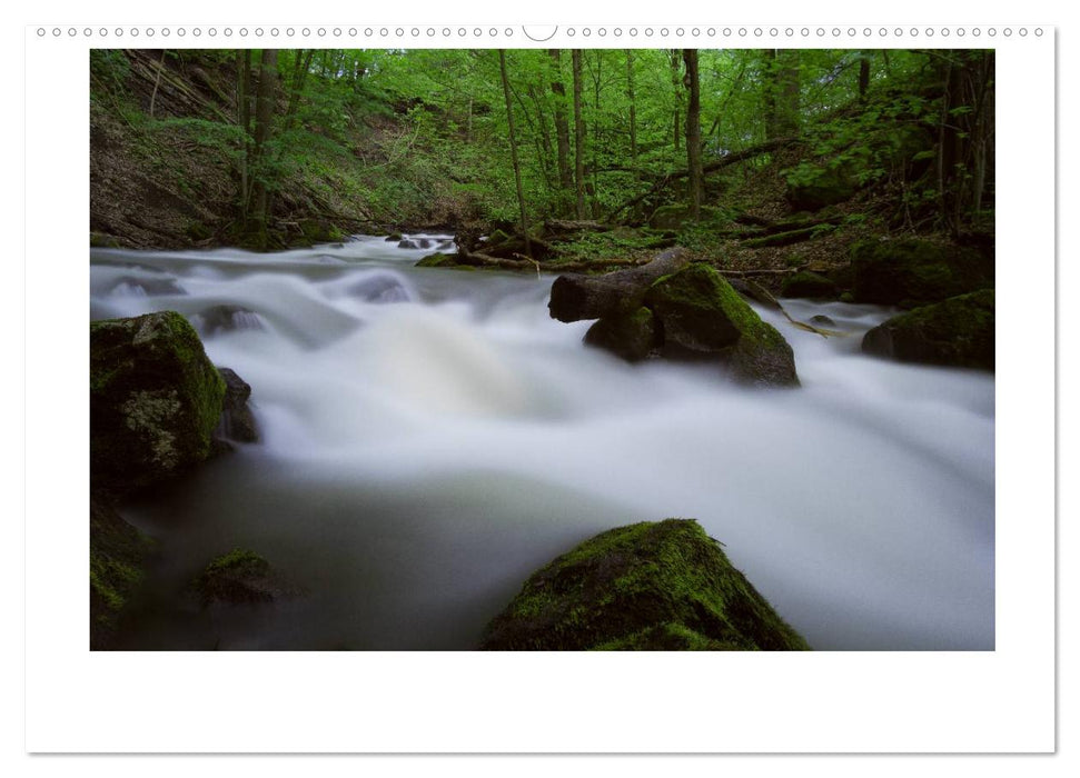 Wildromantische Wasserwelten im Harz (CALVENDO Premium Wandkalender 2025)