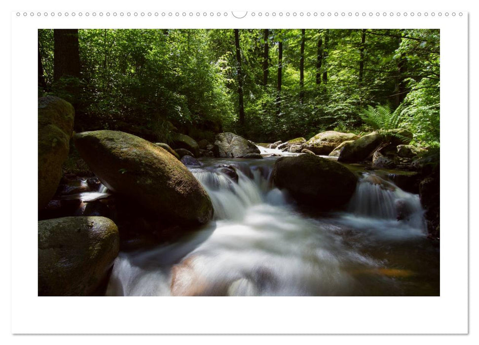 Wildromantische Wasserwelten im Harz (CALVENDO Premium Wandkalender 2025)