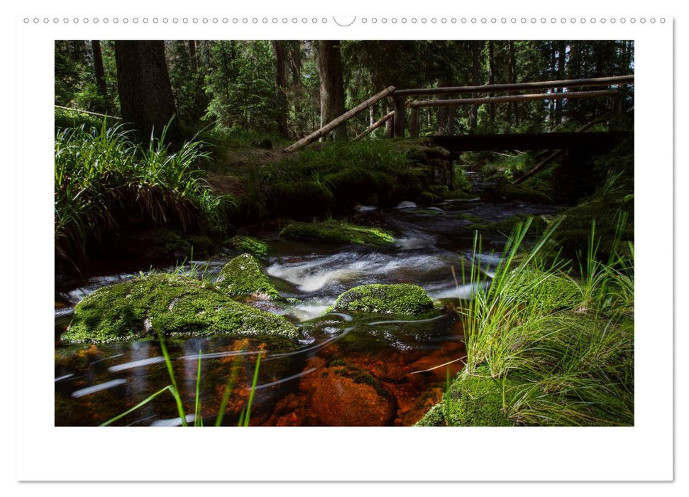 Wildromantische Wasserwelten im Harz (CALVENDO Premium Wandkalender 2025)