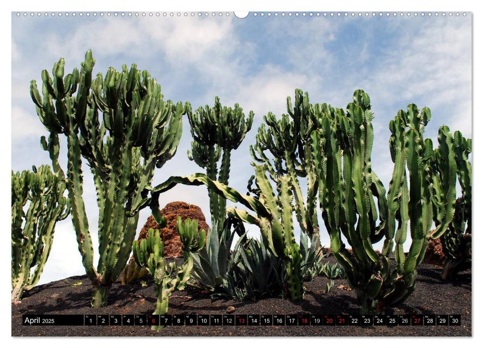 Lanzarote - Kanarische Inseln (CALVENDO Premium Wandkalender 2025)