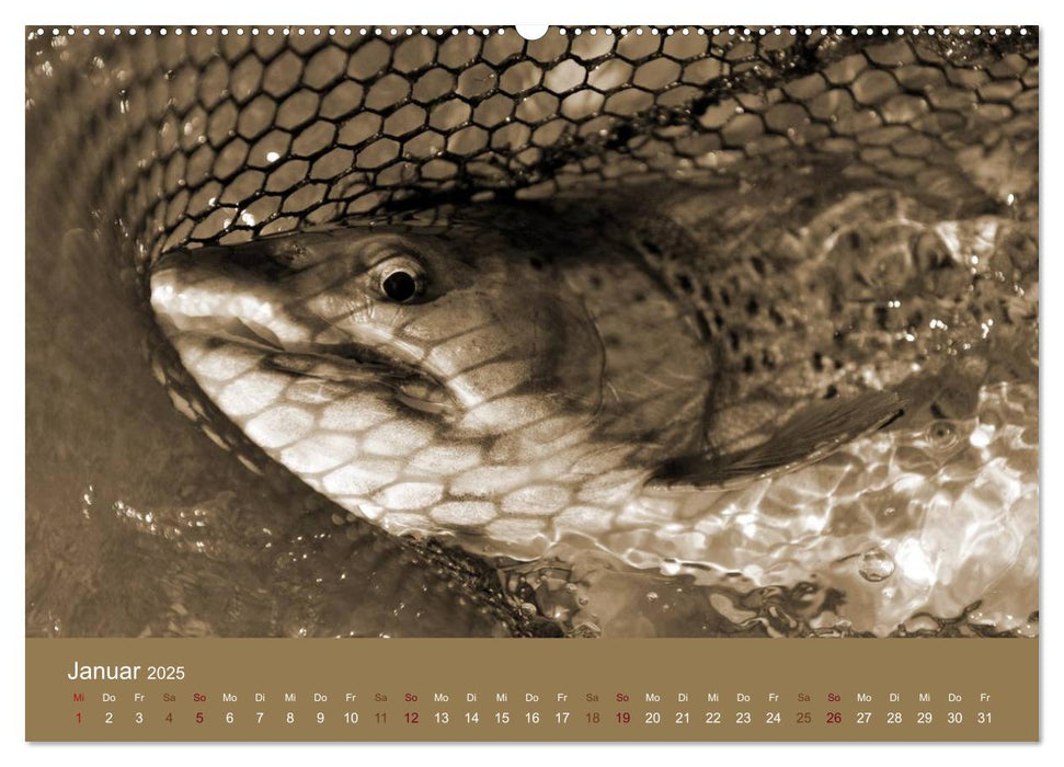 Fliegenfischen (CALVENDO Premium Wandkalender 2025)