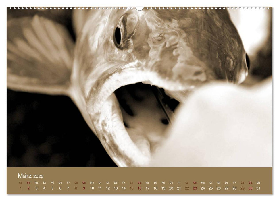 Fliegenfischen (CALVENDO Premium Wandkalender 2025)